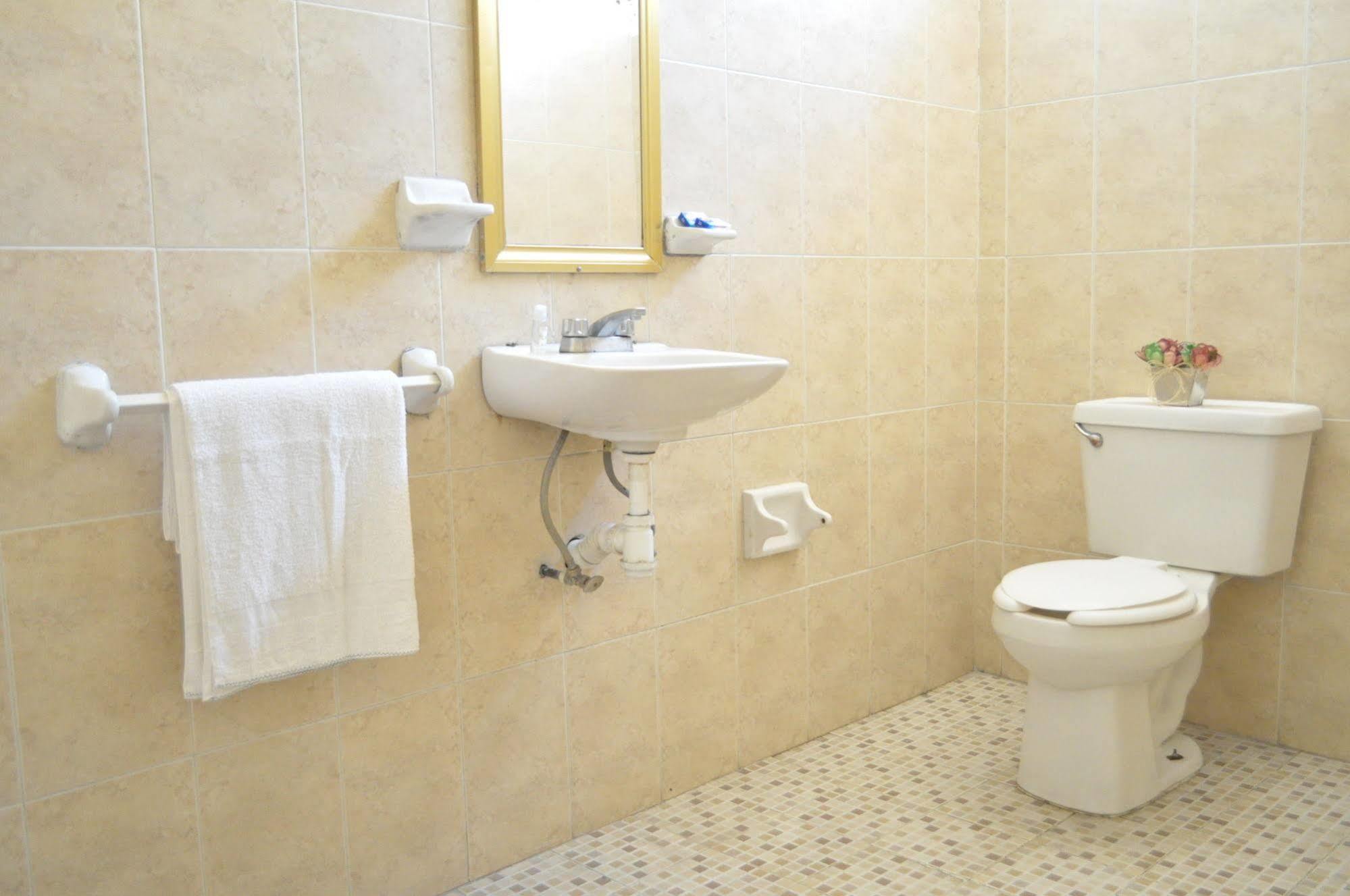 Hotel San Carlos Irapuato Buitenkant foto