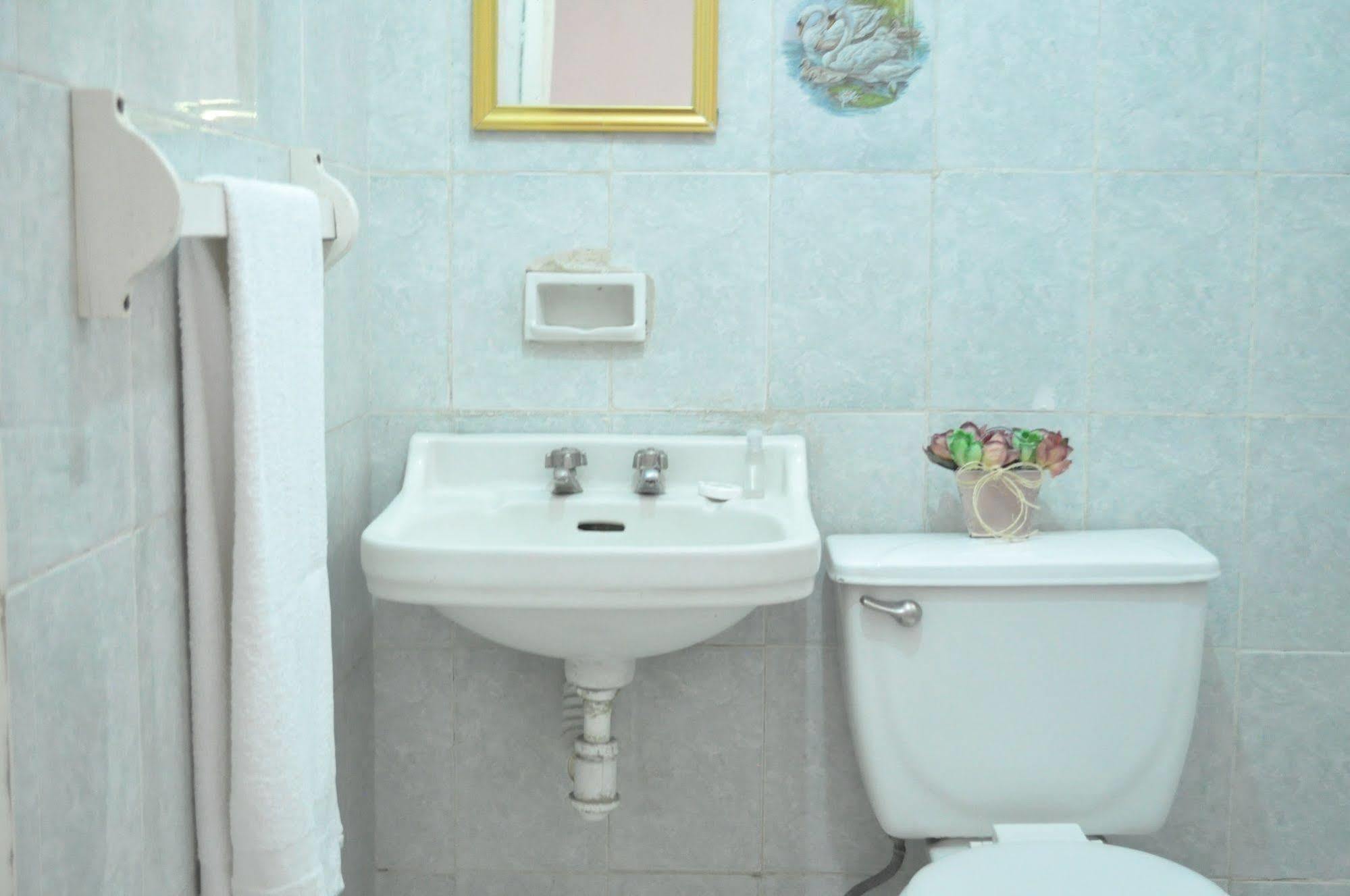 Hotel San Carlos Irapuato Buitenkant foto